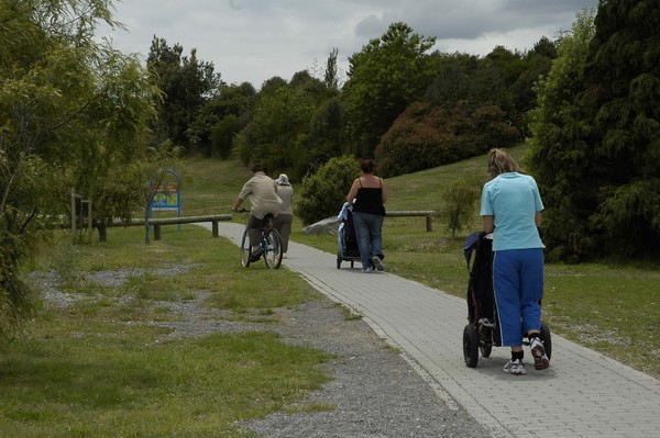 Walkers and cyclists sharing the Great Lake Walkway